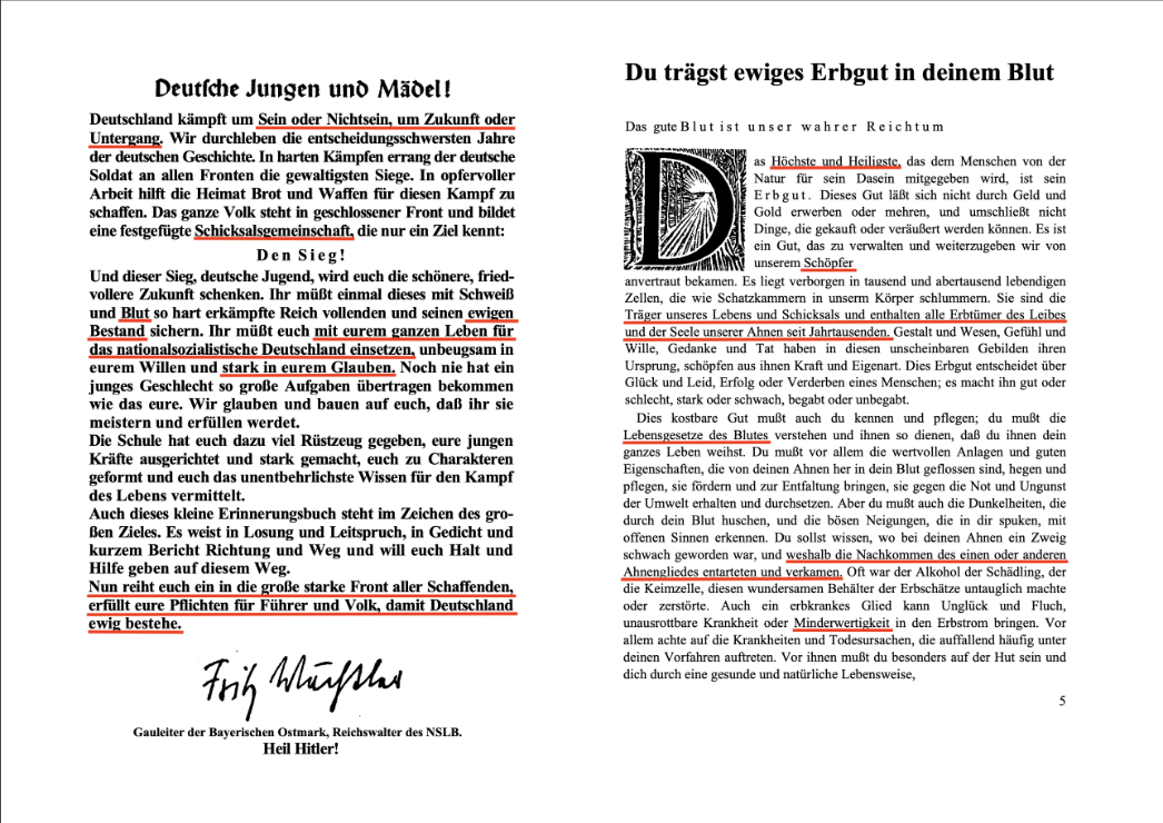 Auszüge aus Hans Belstler: Du stehst im Volk (1943) (bearbeitet von Berit Kö)