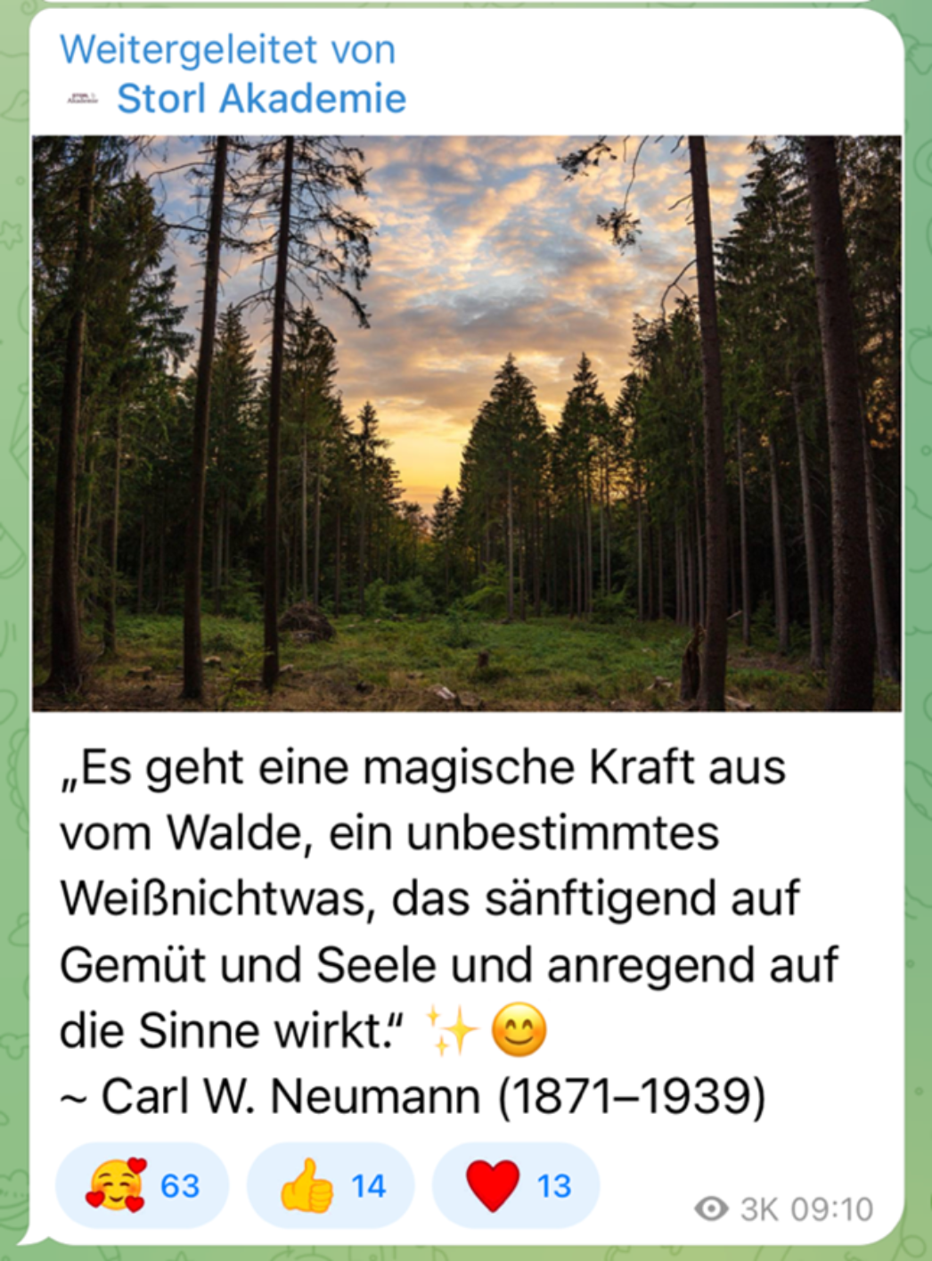 Der Telegram-Kanal Freies Thüringen – ein Akteur aus dem rechten Mischspektrum von Verschwörungsideolog:innen, Reichsbürger:innen und sogenannten Montagsspaziergänger:innen – veröffentlichte am 10. August 2025 eine typisch romantisierende Naturdarstellung, unterlegt mit einem Vers von Carl W. Neumann.