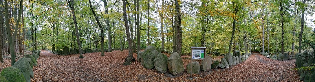 Der Sachsenhain in Verden (Aller). Die ab 1934 errichtete nationalsozialistische Gedenkanlage erinnert mit Tausenden Findlingen an die angeblich 4.500 Sachsen, die Karl der Große 782 hinrichten ließ. ©Gunther Tschuch, 2018, Wikimedia Commons, CC BY-SA 4.0