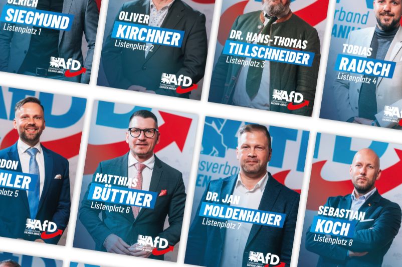 Ausschnitt einiger Kandidaten der AfD Sachsen-Anhalt für die Landtagswahl 2026. Screenshot vom 17.08.2026